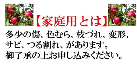 長野県産 紅玉 りんご 家庭用 約9.0kg （36～56玉）〈2026年10月出荷分／北海道・沖縄県・離島は配送不可〉 信州 果物 旬彩 先行予約 季節限定【 当園にて愛情たっぷりに育てたりんご 長野県 佐久市 】