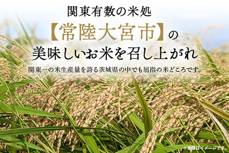 常陸大宮産 コシヒカリ 10kg(5kg×2) こしひかり ブランド米 茨城 【コシヒカリ】【ho1397】