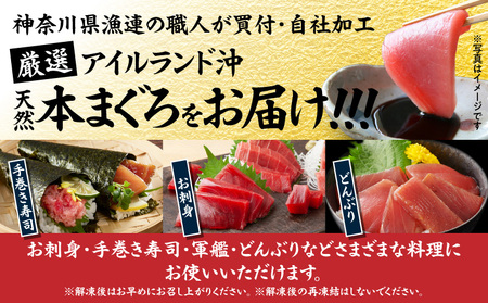 【 入金確認後、7営業日以内に発送予定 または 配送月が選べる 】神奈川県 漁連 天然 本マグロ 中トロサク M077-012-02 冷凍 マグロ