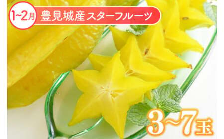 【全6回】人気！沖縄フルーツ定期便 (AC020)