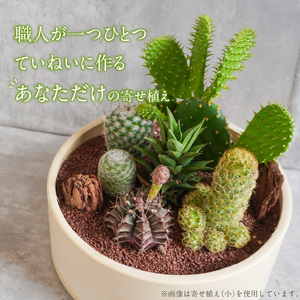 サボテンのオリジナル寄せ植え（小）【恐竜セット/アニマルセット】[133O03]　本格サボテン 産地直送サボテン フィギュア付きサボテン インテリア ギフト プレゼント オシャレ かわいい サボテン寄せ植え オリジナルサボテン 人気サボテン 多肉植物 
