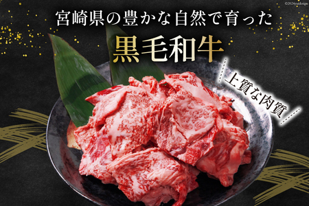 和牛 訳あり 宮崎県産 黒毛和牛 切り落とし 500g [452061559] 和牛