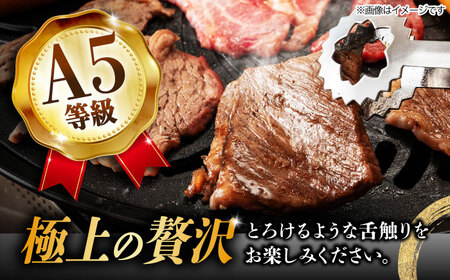 【6回定期便】 飛騨牛 焼肉用 ロース・肩ロース 500g A5等級 [TAZ032]肩ロース 定期便