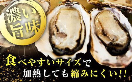 生牡蠣殻付き20個 牡蠣[XBP008]