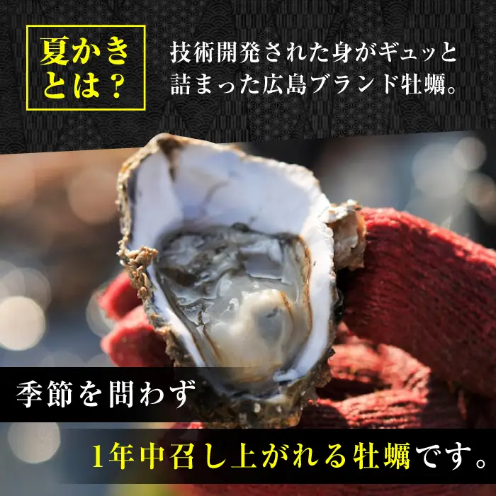 生牡蠣夏かき12個 牡蠣[XBP013]