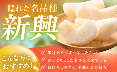 【★先行予約★ 2026年10月上旬より発送】梨（新興）約5kg /  なし 果物 梨 フルーツ[AFAB059]