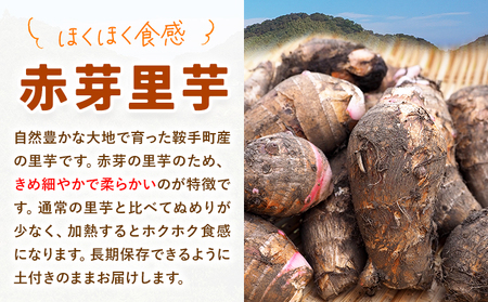 【先行予約】里芋 赤芽里芋 約5kg しょうた農園《11月上旬-3月末頃出荷》