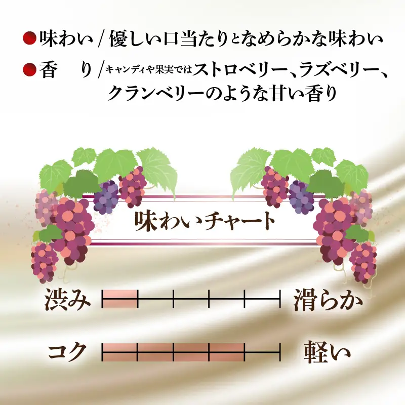 【福井県あわら市産】ふくいワイン【赤】 1本 / ワイン ワイナリー 赤ワイン ライトボディ ぶどう 葡萄 ふくいワイン ブランド フルーティー なめらか 人気 おすすめ プレゼント 贈り物 福井県 あわら市 [aw023-a003]