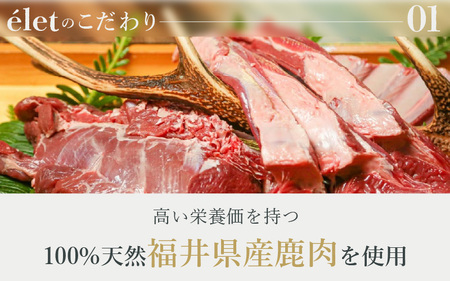 福井県産天然鹿使用の美容健康 ドッグフード e'let アンチエイジング 6個 【ジビエ 鹿肉 シカ 健康 犬 小型犬 中型犬 大型犬 ペット フード エサ 厳選】 [A-20002]