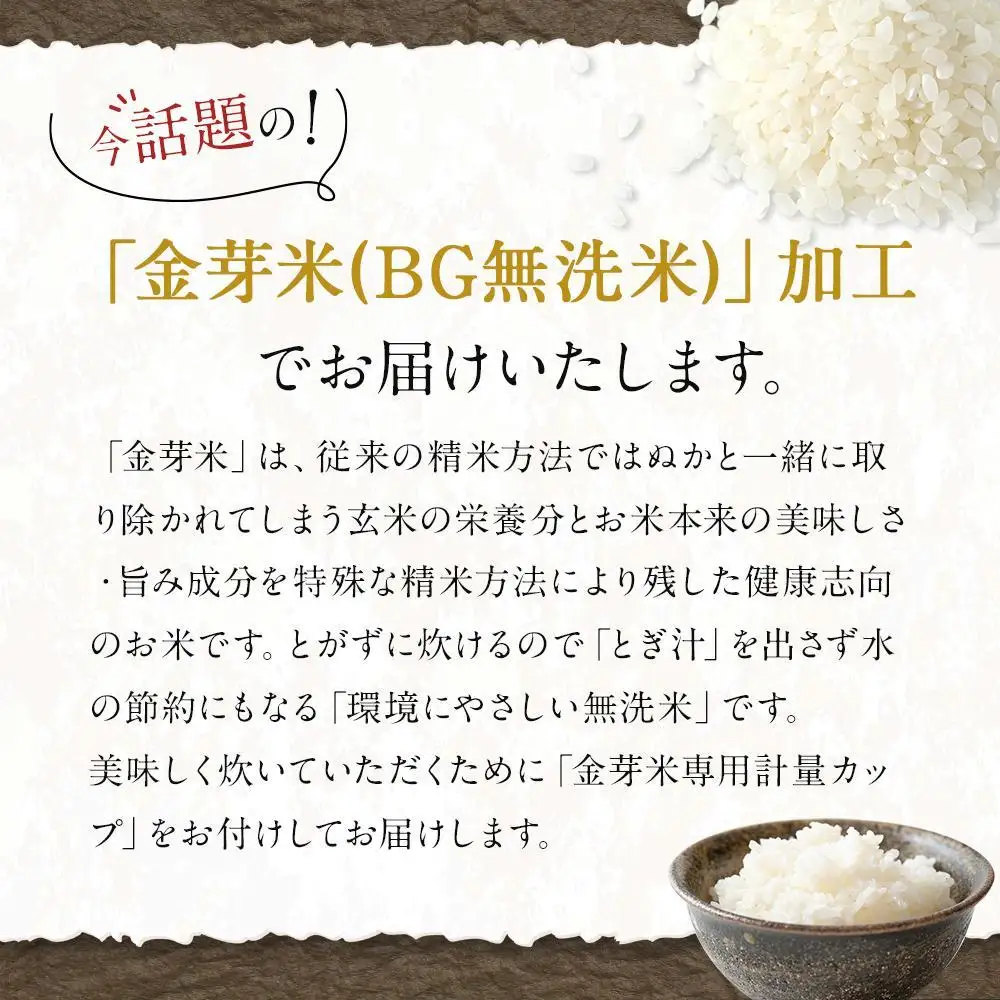 【 定期便 】 令和7年産   上富田町産 金芽米 きぬむすめ 10kg × 3か月 井戸本農園