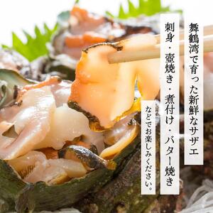 活 さざえ 3kg