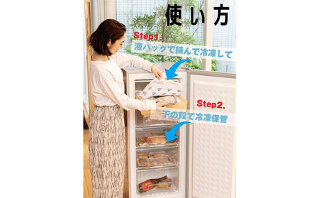 凍眠マジック 家庭用 急速冷凍庫｜高鮮度保持 時短 凍結 冷凍庫 冷凍保存 ALS0001