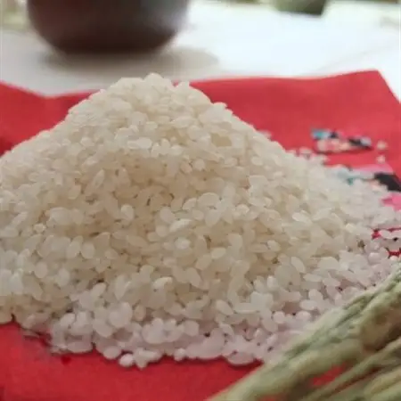【令和7年産】奈良県産 あきたこまち 精米 10kg ( 5kg×2 )_ 精米 米    あきたこまち 米 アキタコマチ_【1457054】