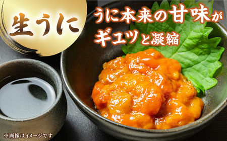 【お中元】【先行予約】生うに 一汐うに セット【2026年6月以降順次発送】 [JAQ024] うに