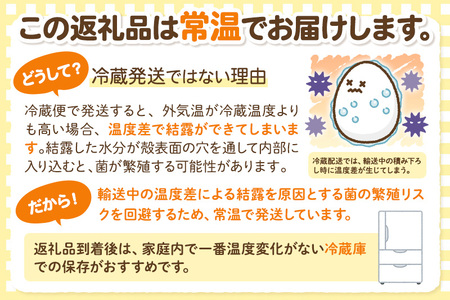 【常温発送】《定期便12ヶ月》黄身の余韻6個×2P・ひとたま6個×2P 計24個【発送時期が選べる】12か月 12ヵ月 12カ月 12ケ月 卵 玉子 たまご 2種類 味比べ 食べ比べ 開始時期選べる東海林養鶏場 至福のたまご 黄身の余韻 ひとたま タマゴ