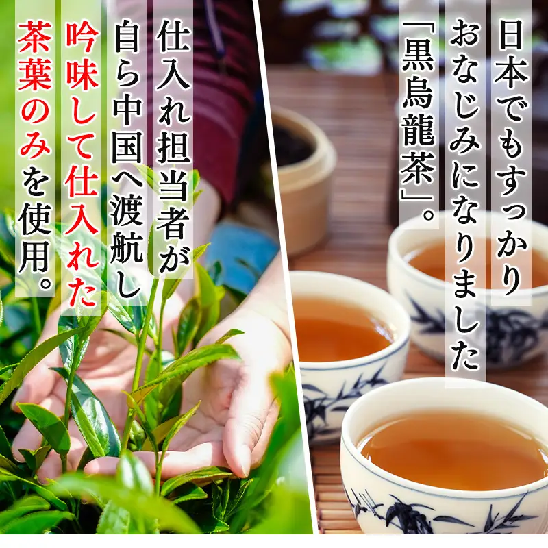 黒烏龍茶50Ｐ 6本セット ティーバッグ 長時間発酵 飲料類