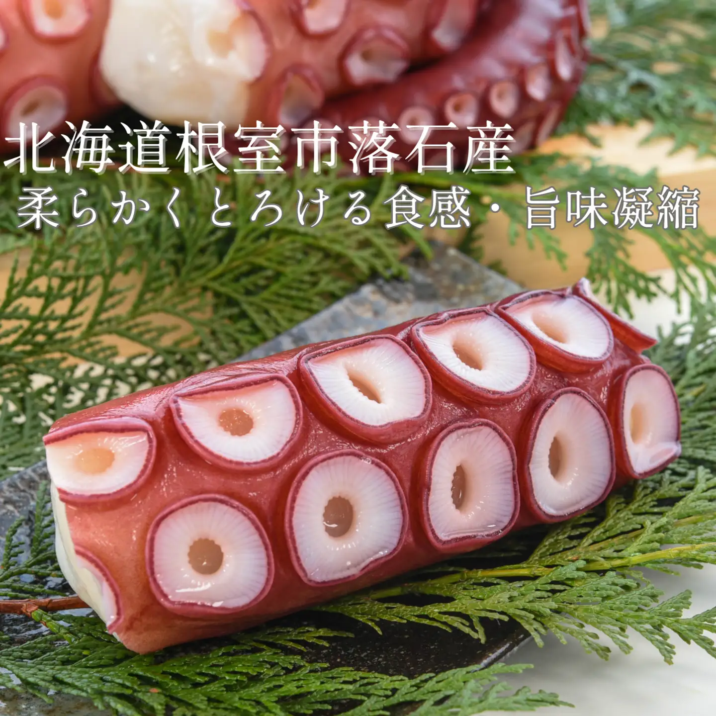 【北海道根室産】ボイル水たこ足ブロック15P(計7kg) E-20004
