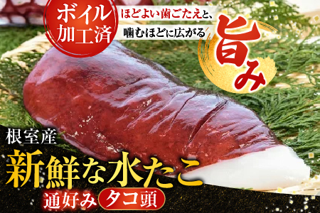 【北海道根室産】ボイル水たこ頭カット2P(計1kg) G-20001