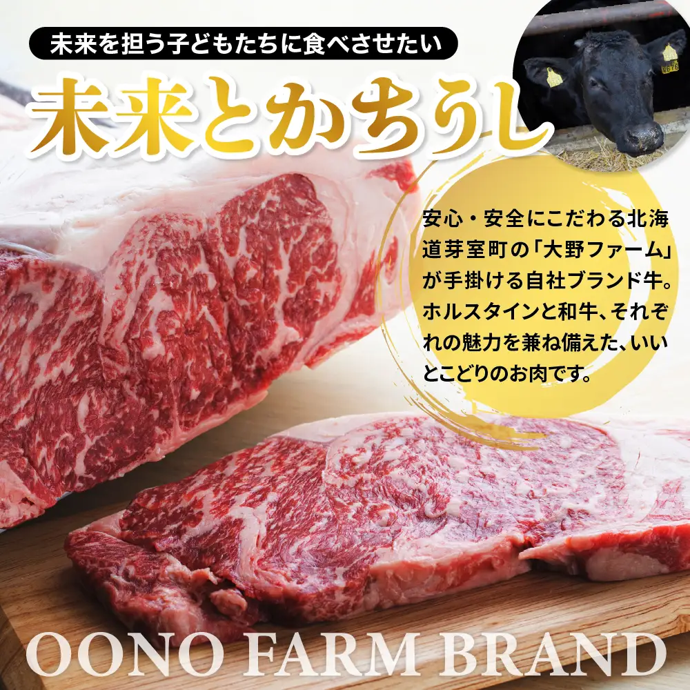北海道十勝芽室町　未来とかち牛モモブロック　300g　 北海道 牛肉 ビーフ ステーキ サーロイン 芽室町 me073-006c