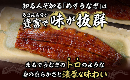 一色産めすうなぎ無頭長蒲焼2尾（300g）・I059-19-1