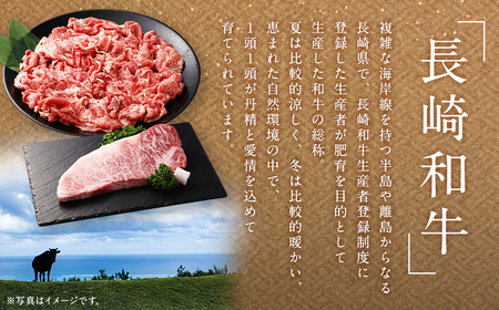 長崎和牛 ヒレ・サーロインセット 計400g ／ 和牛 国産 肉 お肉 牛肉 ステーキ 焼肉 バーベキュー BBQ アウトドア 長崎 肉のマルシン