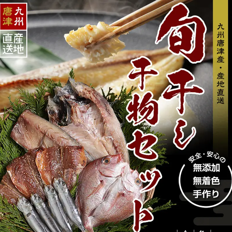無添加・無着色・手造り 唐津産 『初めての唐津旬の干物5種10尾セット』唐津産真アジ醤油みりん干し、唐津産真サバひもの、唐津産季節の旬の白身魚一夜干し、真イワシ丸干し、トロあじ開き 干物 酒の肴 【ふるなび】