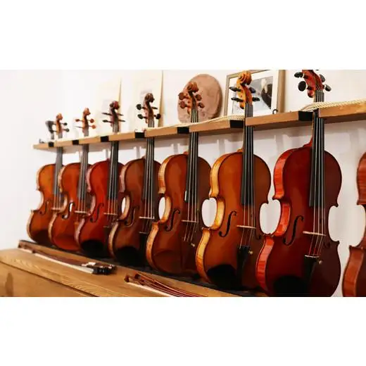 【高島屋選定品】（Liuteria-TAKADA〉高田博史氏のオーダーメイドバイオリン