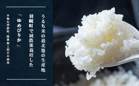 【2025年産】【定期便:全3回】北海道産 特別栽培米 ゆめぴりか 5kg  （無化学肥料､除草剤一回だけで栽培した体に優しいお米）【2511901】