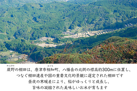 特別栽培棚田米「蕨野」5kg×1袋(合計5kg) 家庭排水が一切入らない自然水で作られたお米 10日に1回精米で新米のような味わい