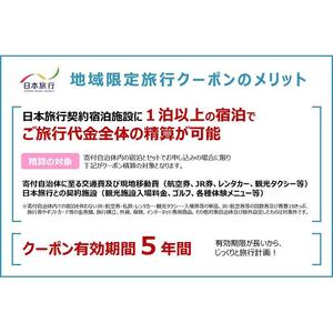 滋賀県　日本旅行　地域限定旅行クーポン30,000円分