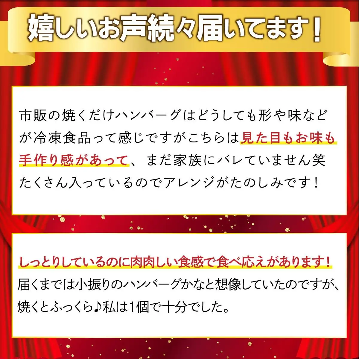 佐賀牛入り生ハンバーグ120g×8個