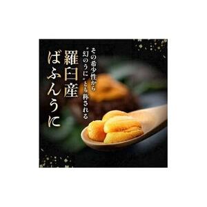 天然 エゾバフンうに （上）塩水うに 100g 