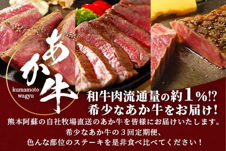 【定期便6回】あか牛 ステーキ 食べ比べ！≪サーロイン ミスジ ランプ 三角バラ ヒレ リブ ロース≫ 046-0676