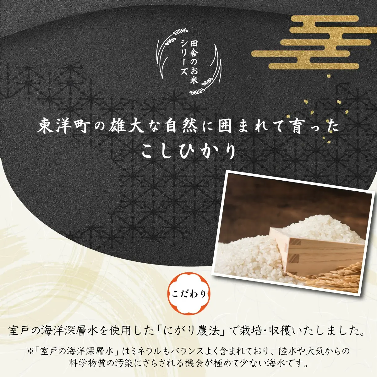 ＜2026年8月発送＞令和8年産コシヒカリ 10kg【S138】
