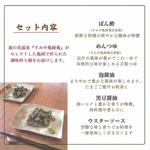 調味料 5本セット ぽん酢＆めんつゆ＆醤油＆ソースセット すみや亀峰菴セレクト