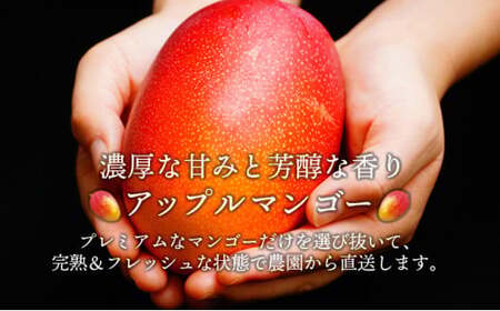 平均糖度15度以上！たっぷり1kg以上！宮崎完熟マンゴーご家庭用小さめ M・Lサイズ2玉入り×2パック(1,000g～1,200g)_K005-014
