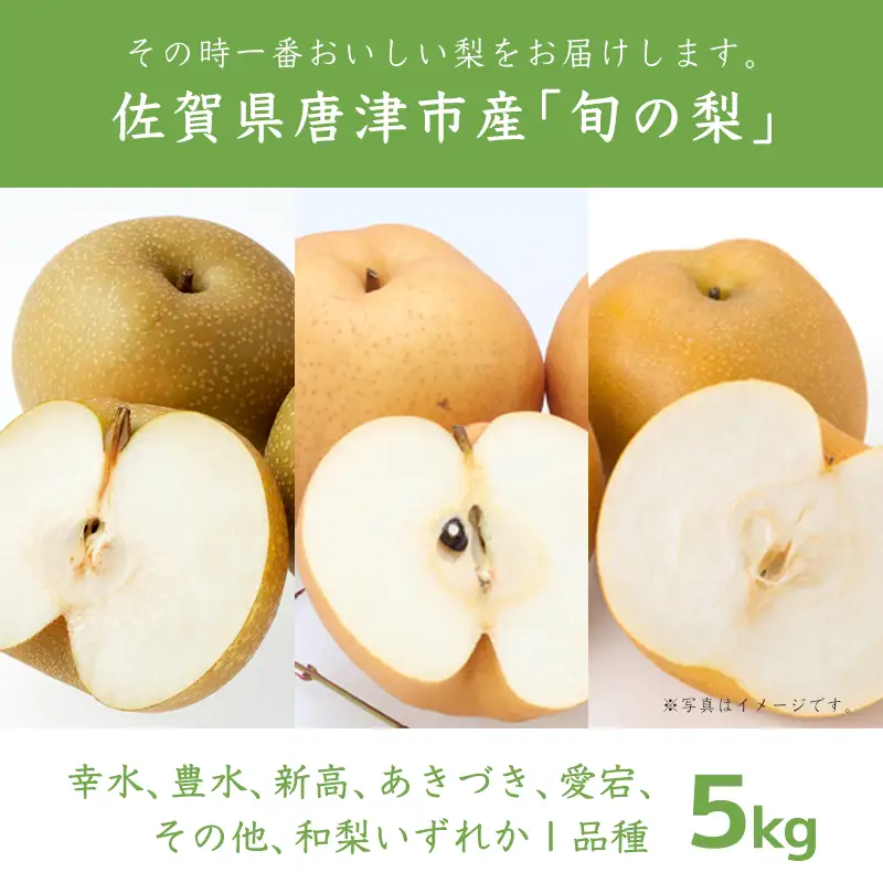 『先行予約』今が食べ頃 特栽 旬の梨5kg【令和8年の夏ごろの発送】和梨 幸水 豊水 新高 あきづき 愛宕 果物 フルーツ くだもの