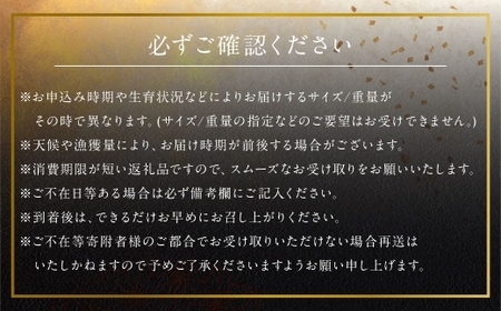 長崎の森で育てた『幻のクエ』【ハーフセット】 刺身用 2〜3人前・鍋用 2～3人前（1kg～2kg前後）／ 海鮮 魚介類 クエ  刺身 鍋 高級魚 長崎産
