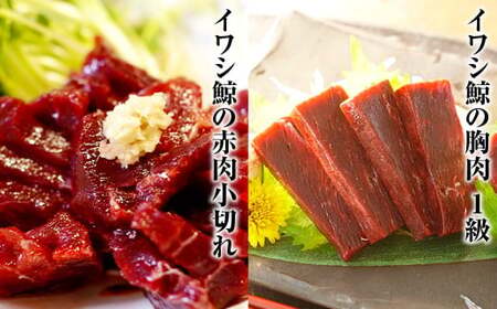 【7営業日以内発送】くじら 赤肉4種詰め合わせ (小切れ・胸肉・背肉・特選) 合計740g ／ 鯨 クジラ肉 鯨料理 セット 詰め合わせ 珍味