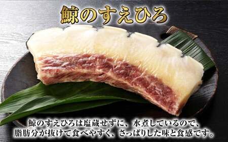 【7営業日以内発送】すえひろブロック 100g×5個セット ／ 鯨 クジラ肉 鯨料理 セット 珍味 畝須