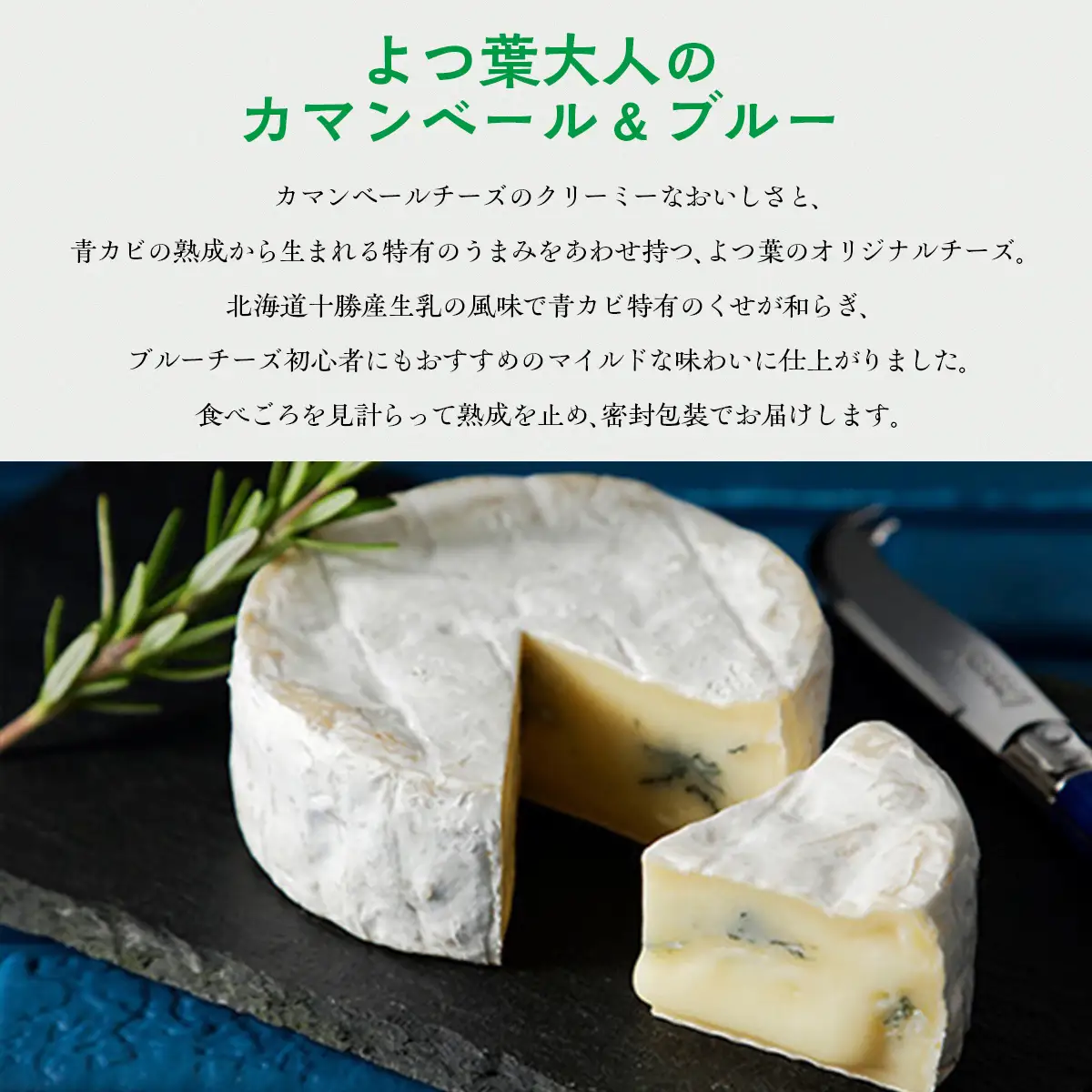 北海道十勝産 よつ葉大人のカマンベール＆ブルー6個 【  チーズ 贈答  ギフト セット  送料無料 】 SKA033