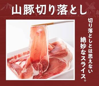 【3ヶ月定期便】 宮崎県産 豚肉 「きじょん山豚」 切り落とし 計3.5kg （500g×7パック） 肉 豚肉 国産豚肉 九州産豚肉 小分け豚肉 小分け豚肉