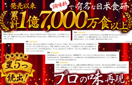 食研カレー２００ｇ×１０袋 【VB02360SET10】