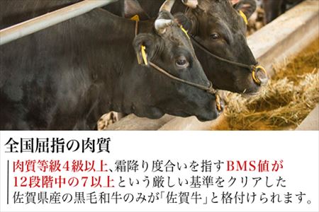 佐賀牛上カルビ焼肉用 450g 牛肉 ギフト