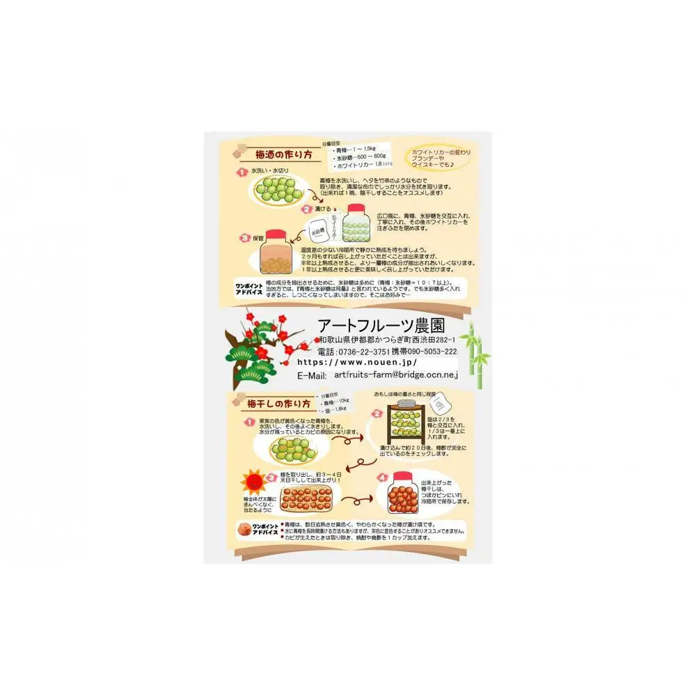 ［梅干・梅酒用］大玉4Lサイズ約2kg 熟南高 生梅 赤秀品＜2026年6月上旬～7月7日発送予定＞［ART01］