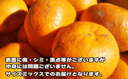 訳あり みかん 南柑20号 6kg ふるくとファーム ﾐｶﾝB010-037005