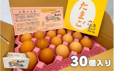 卵 定期便 12ヶ月 赤たまご 30個 産みたて たまご 