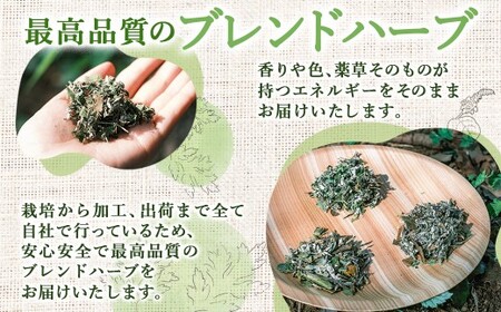 【10営業日以内発送】最高級 よもぎ蒸し ブレンドハーブ 3袋 セット (各20g×5パック)  計15パック ／ 薬草 入浴用 バスグッズ ブレンド ハーブ 美容 健康 リラックス 長崎県 長崎市