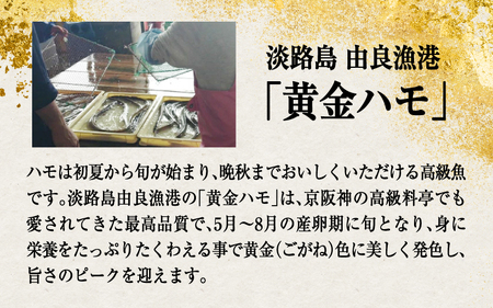 淡路島黄金はも湯引き 4~5人前　酢味噌・梅肉付き  / はも