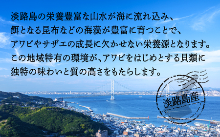 天然活アワビ・活サザエセット(2人前用）淡路島産